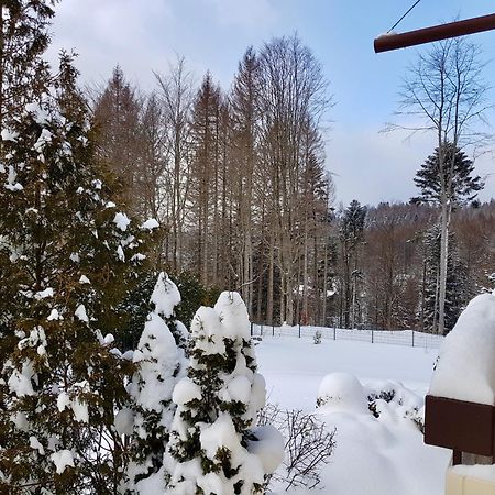 Апартаменты Harzbutze 60 Санкт-Андреасберг Экстерьер фото